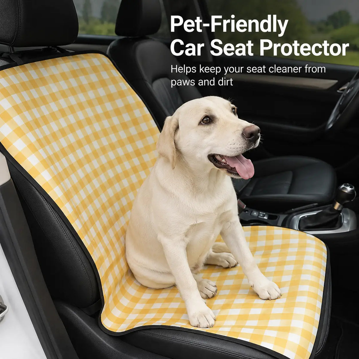 Pet Outing Kit