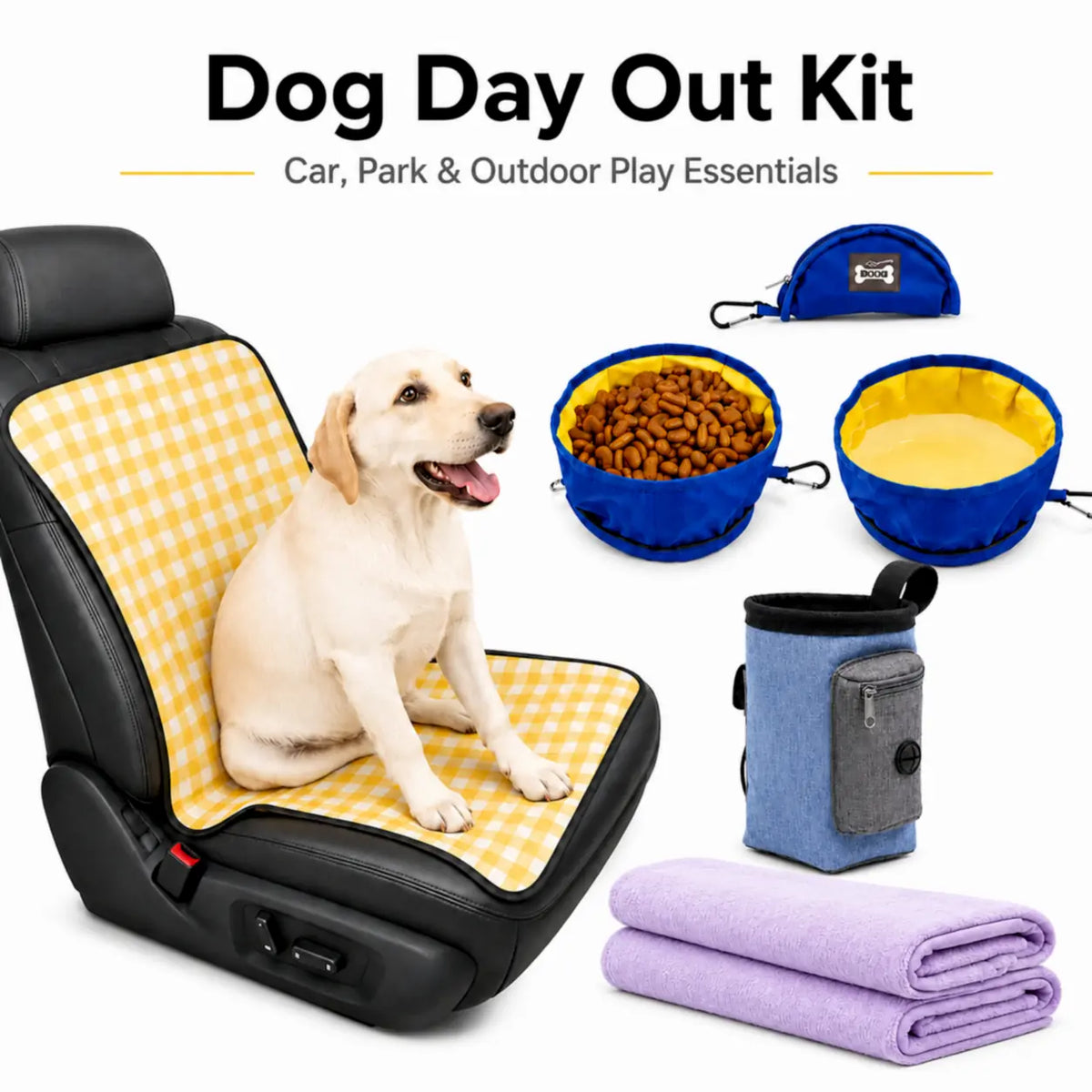 Pet Outing Kit