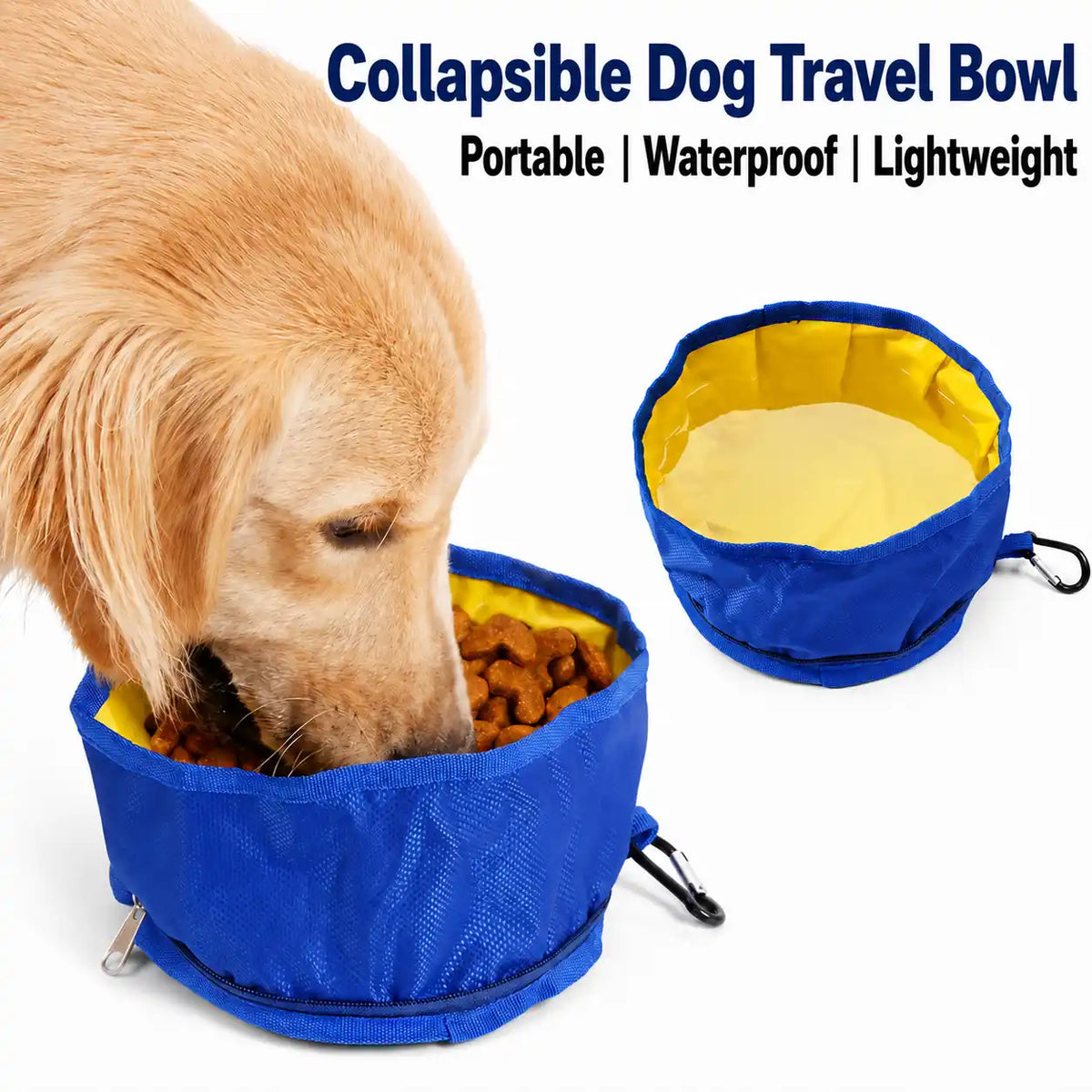 Collapsible Dog Travel Bowl